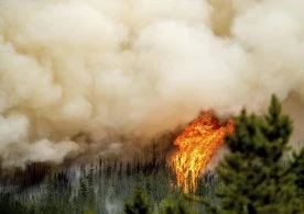 Rising temperatures prompt fire warning in B.C. Interior