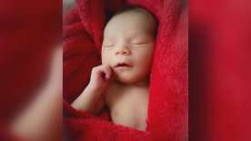 5-week-old baby’s death in B.C. government care prompts investigation