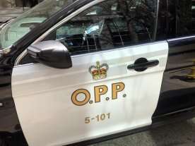 Belleville driver charged after school bus collision in Prince Edward County