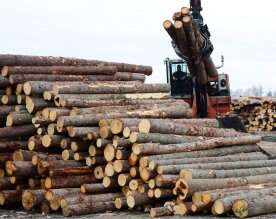 Could Canadian lumber face U.S. tariff? Trump orders probe