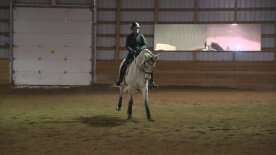 Dressage attracting dedicated Manitoba riders