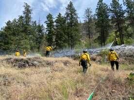 Grass fire near Mount Boucherie quickly knocked down by firefighters