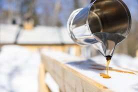 Quebec maple syrup producers fear ‘major consequences’ if Trump tariffs go ahead