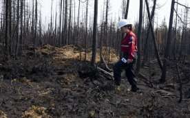 Quebec forest fire workers vote for strike mandate as wildfire season looms