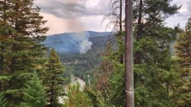 Fortis plan to reduce wildfire risk across Southern Interior raises other safety concerns