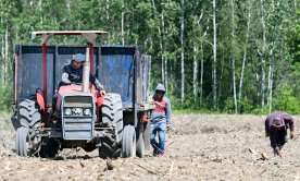 Quebec court authorizes temporary foreign worker class action on closed permits