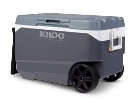 This Igloo cooler can sever fingers, Health Canada warns in recall