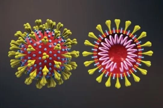2 Pfizer COVID-19 vaccines more effective than AstraZeneca against delta variant, data says