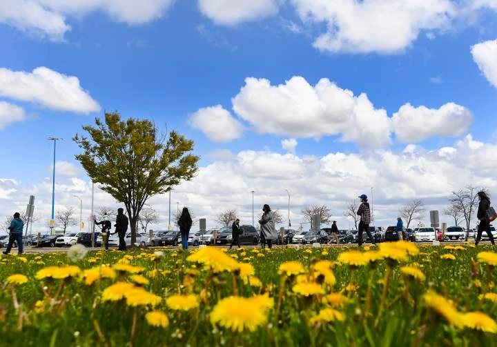 Why allergy seasons are becoming ‘more intense overall’ in Canada
