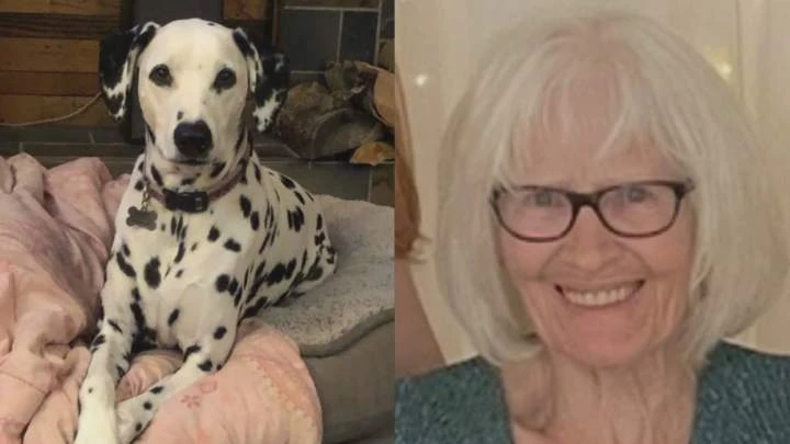 Search underway for Alberta woman, 82, lost in Saskatchewan with her dog