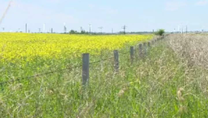 Saskatchewan farmers battle higher costs ahead of spring seeding