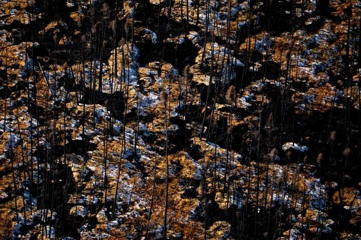 Canada’s wildfire season forecast is ’cause for concern,’ experts warn