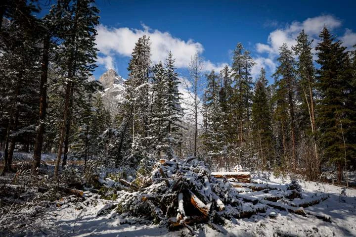 Planned glampsite renews longstanding Canmore, Alta. concerns on growth pressures