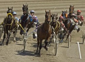 Child killed after being hit by starting gate at horse race in New Brunswick