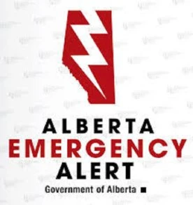 Emergency alerts issued in northern Alberta over 911 service outage in Grande Prairie