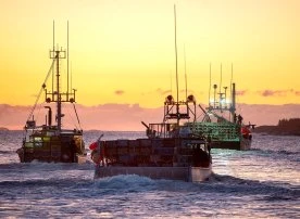 ‘People have almost died’: Soaring N.S. lobster fishing tensions revealed