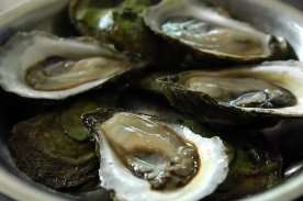 Dermo disease detected in oyster samples in northeastern Nova Scotia