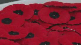 Poppy campaigns kick off in Calgary