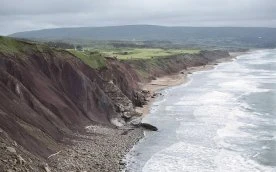 Cape Breton wildfire near Framboise being held: municipality