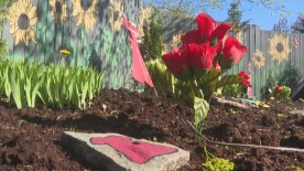 How one Fredericton shelter is supporting Indigenous IPV survivors