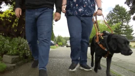 Surrey woman with certified guide dog denied entry to 2 separate Walmarts