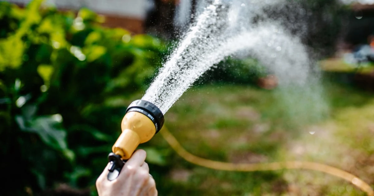 The best garden hoses for your outdoor space