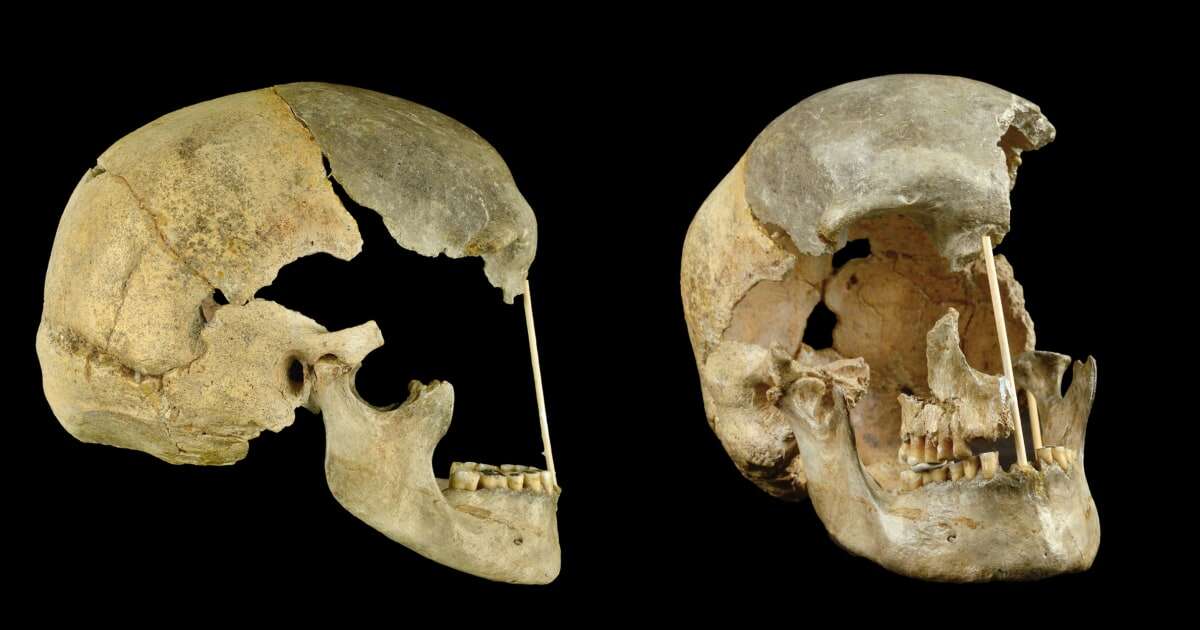 When Neanderthals interbred with ancient humans: Research clarifies timeline of human evolution