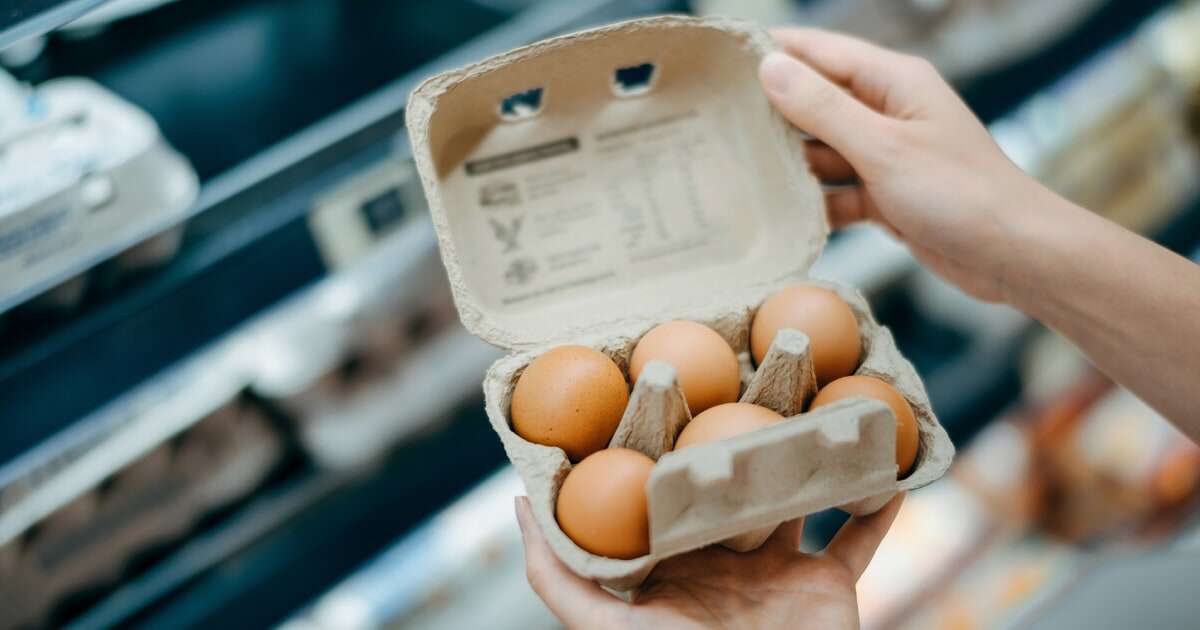 Egg prices may soon 'flirt with record highs,' supplier says. Here's why.