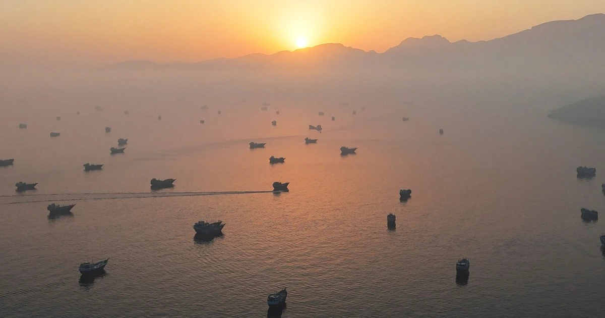 Oil prices fall on Iran deal, but whether they go much lower ‘is highly questionable’