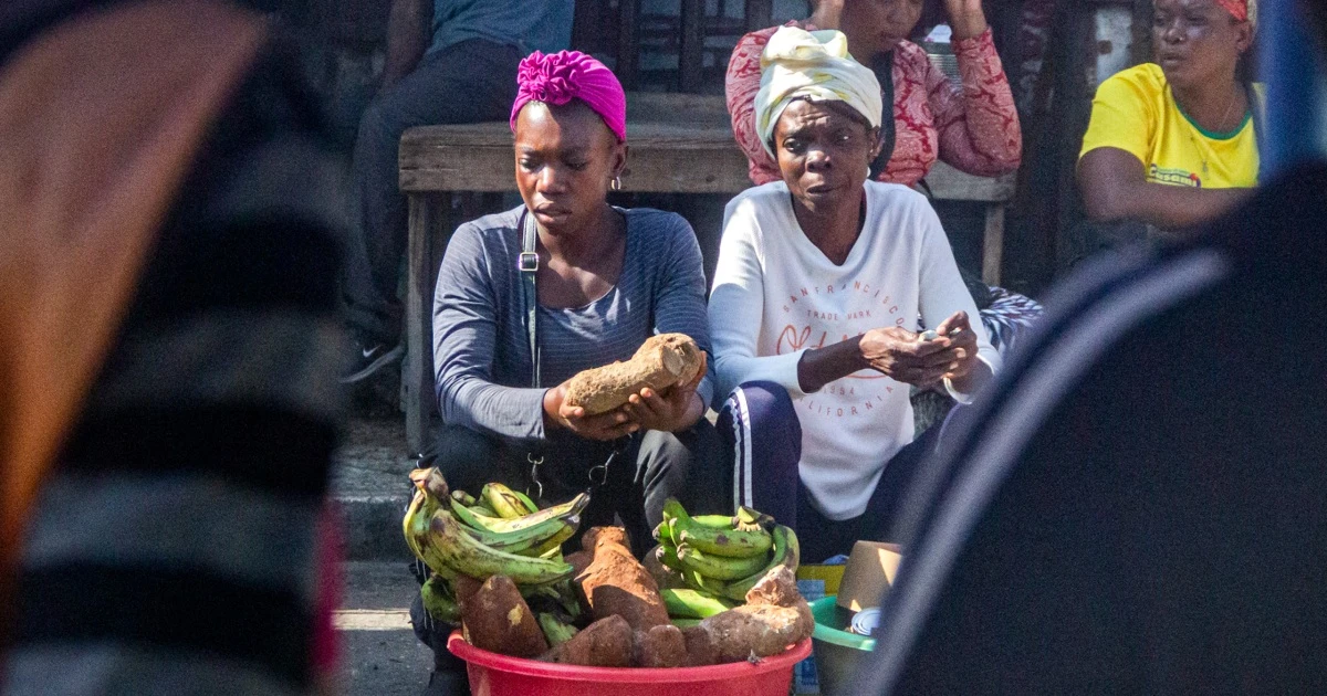 Haiti gang wars push hunger to worst levels on record  