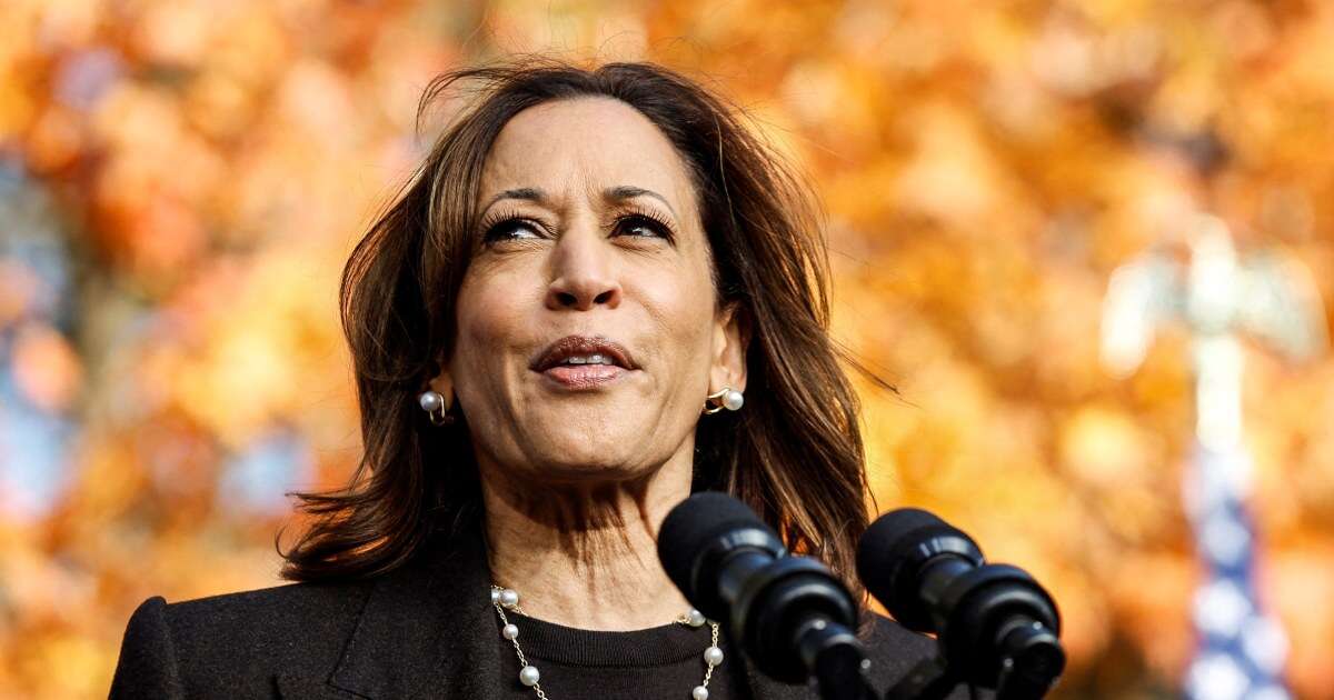 Harris says Trump is 'increasingly unhinged' and blasts his reported praise of Hitler as dangerous