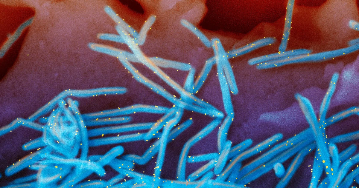 CDC strengthens RSV vaccine recommendation only for the oldest adults 
