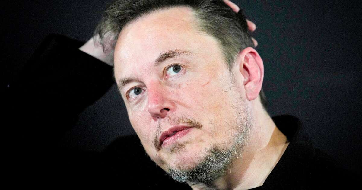 Musk's PAC offers $47 payouts to refer swing state voters to sign petition 