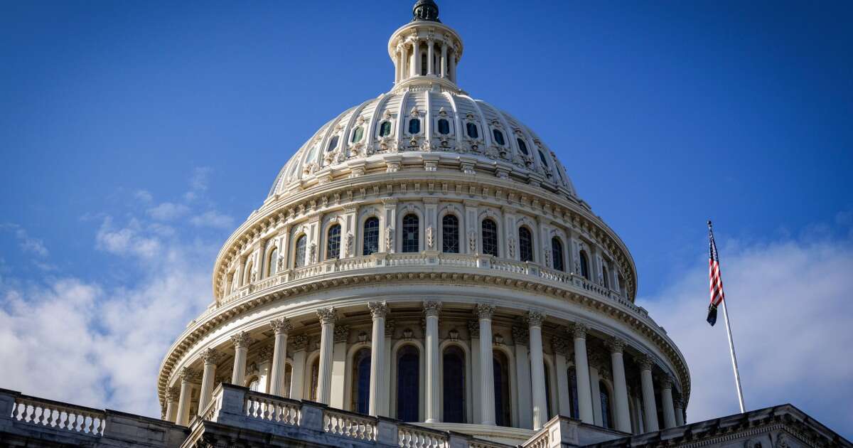 Capitol Police arrest man with machete at entrance for Jimmy Carter viewing