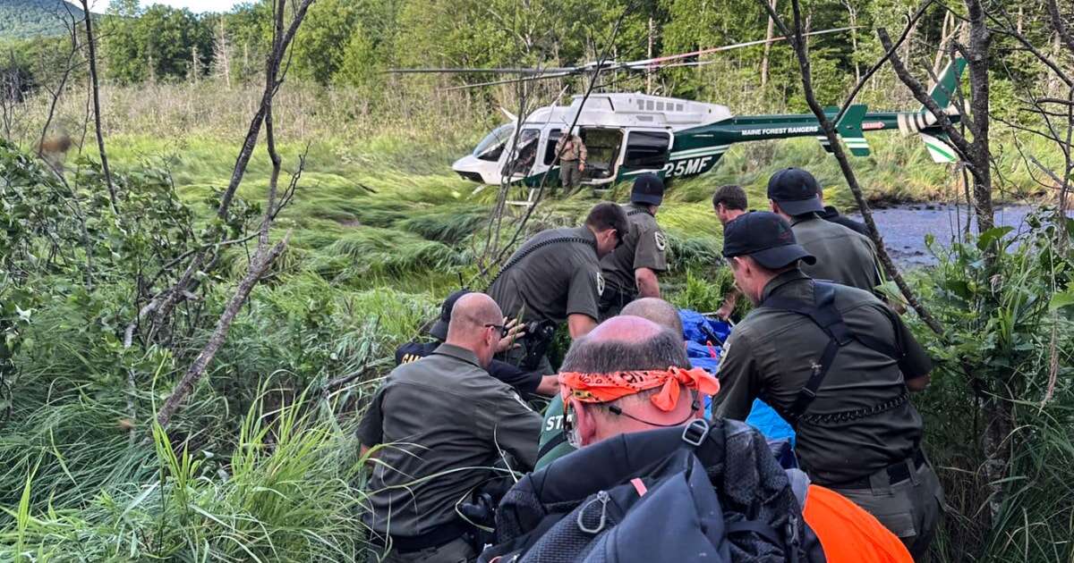 Missing 75-year-old man found alive in Maine bog after for 4 days