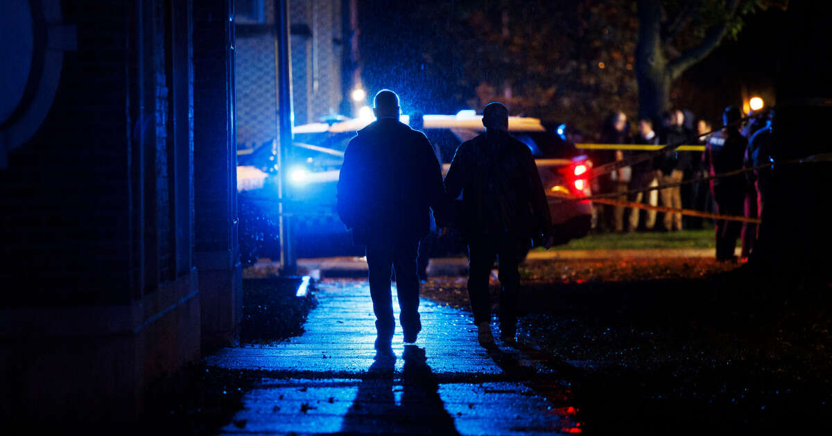 Chicago police officer dies after shooting following traffic stop