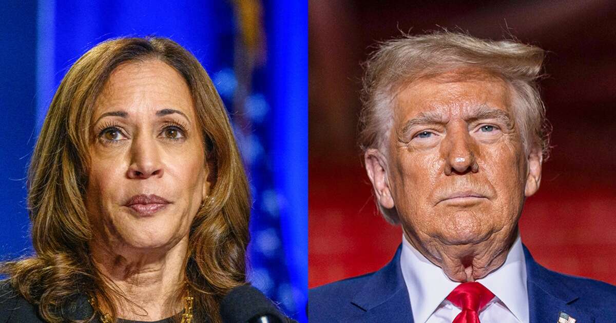 Poll: Harris and Trump voters see their candidate representing 'change' — but in very different ways