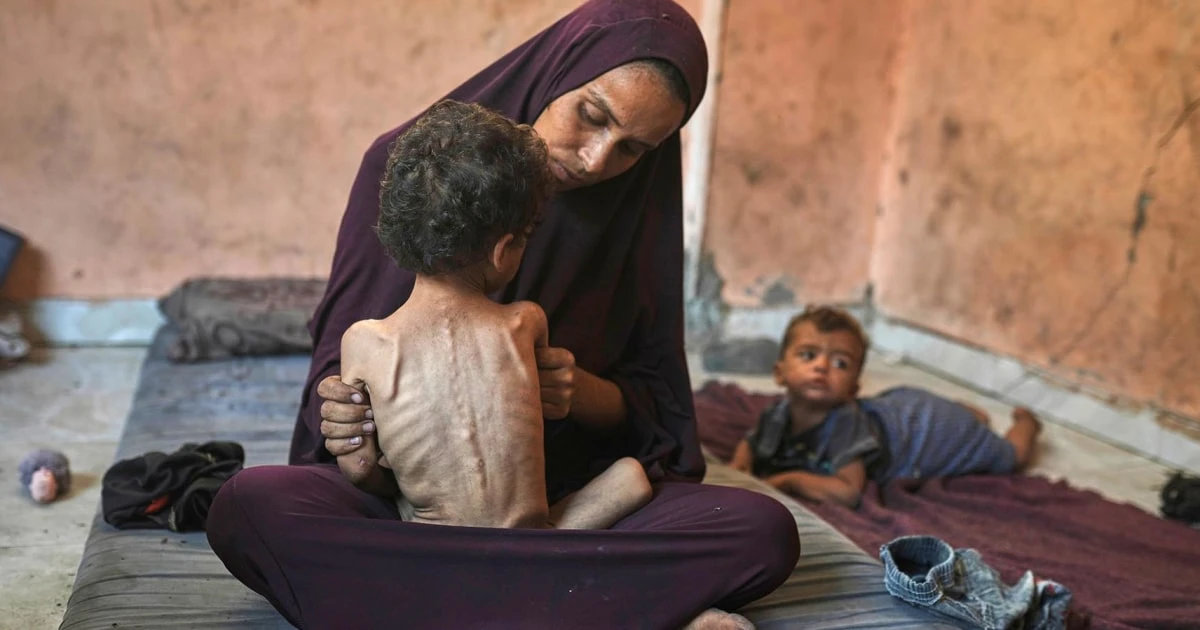 Israel says it will let foreign countries drop aid into Gaza as hunger crisis spirals