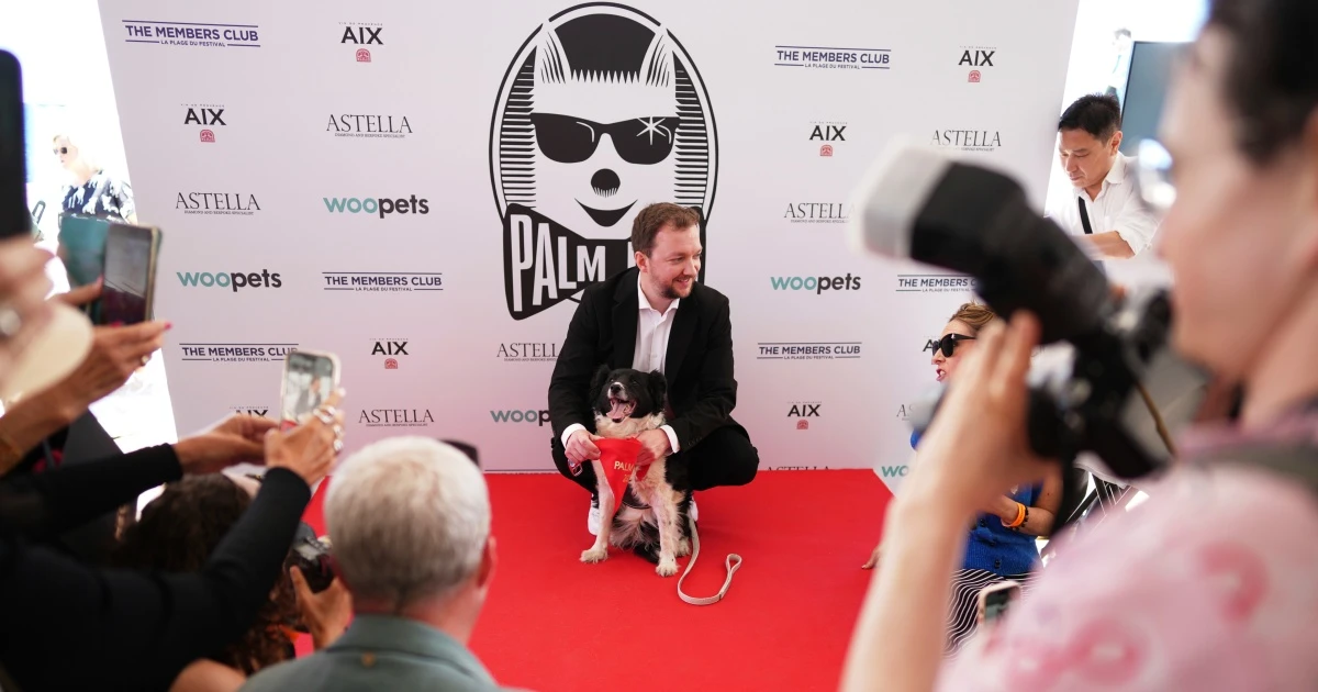 No scenery was chewed — Icelandic sheepdog awarded with 'Palm Dog' in Cannes