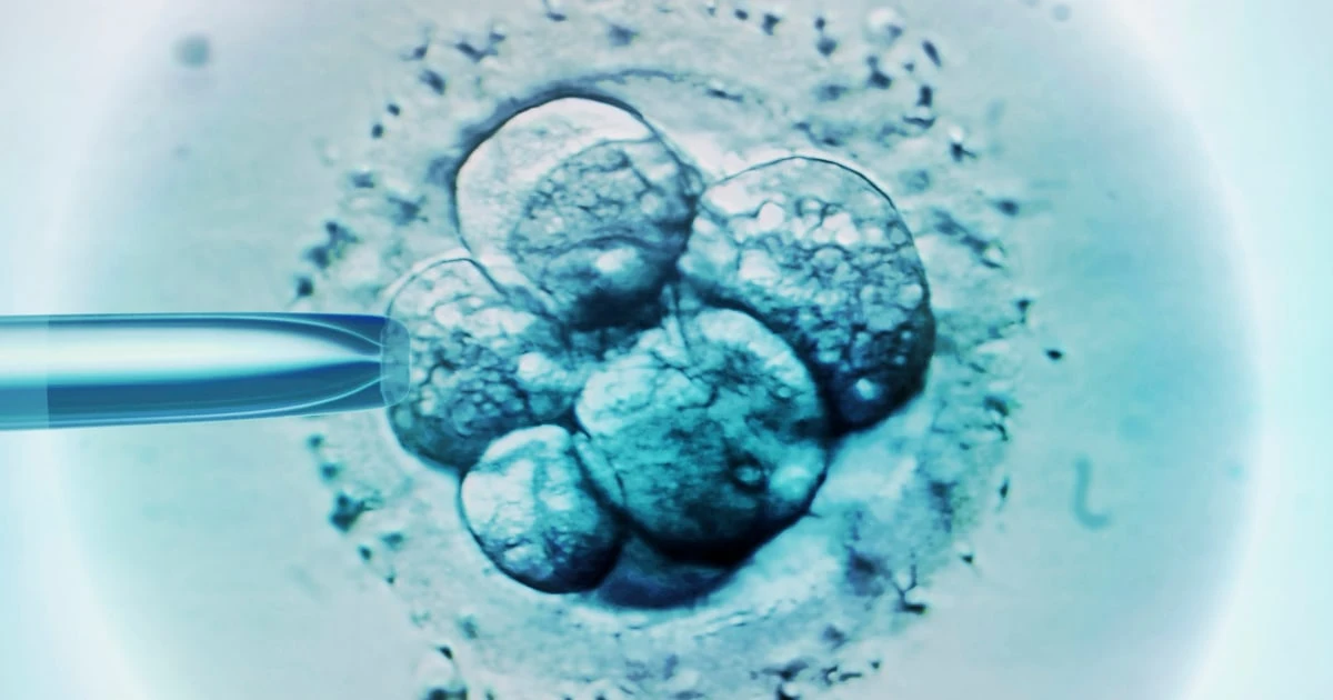 Dueling approaches to infertility vie for Congress’ attention