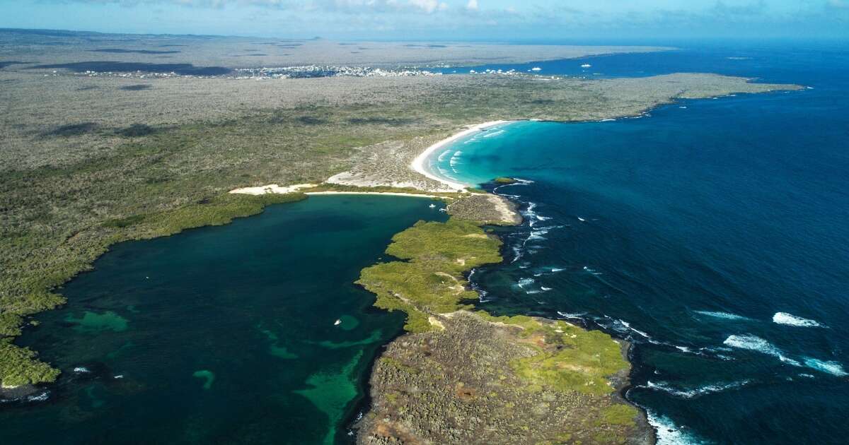 Ecuador’s navy ready to combat illegal fishing around the Galapagos Islands 