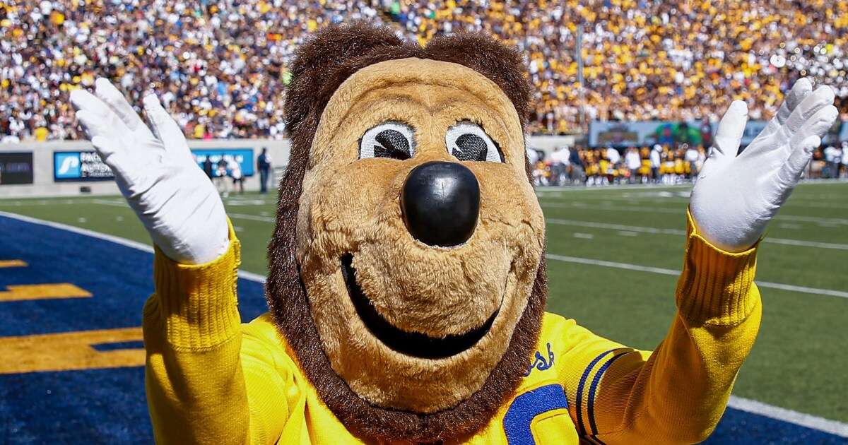 Cal Golden Bears fans are poking fun at 'woke' jabs from Southern schools