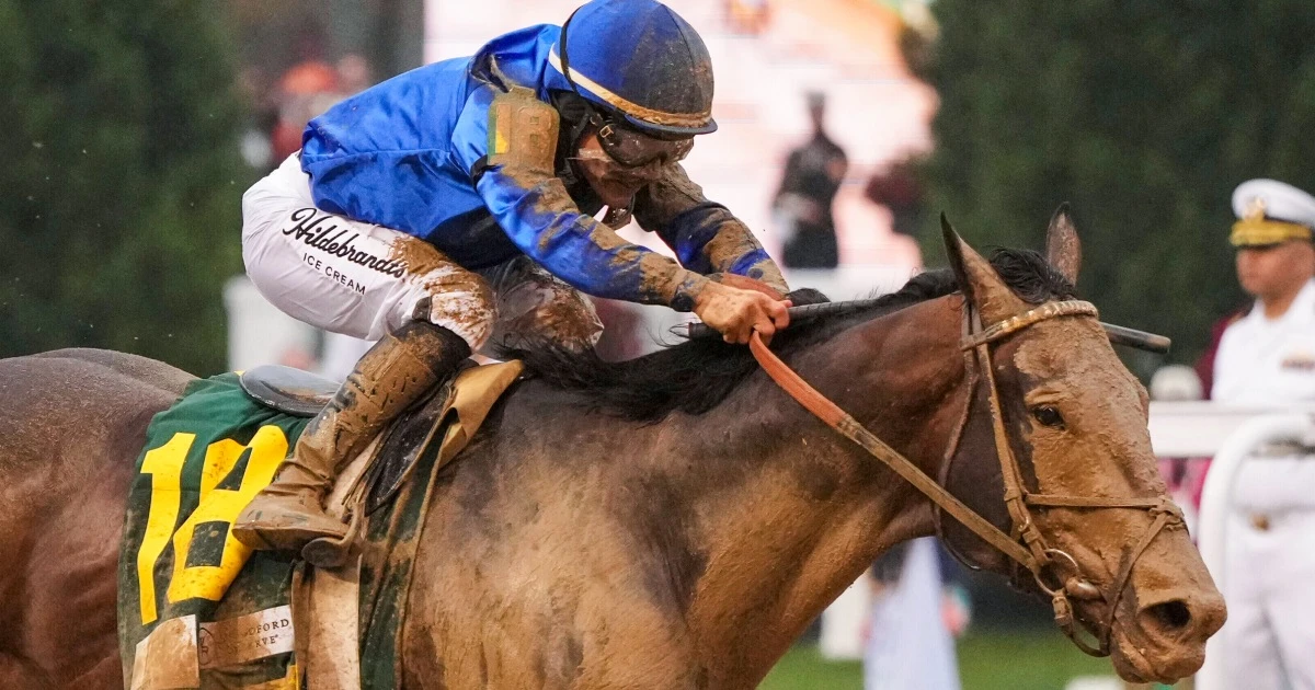 Kentucky Derby-winning jockey suspended, fined $62,000 for striking horse too many times