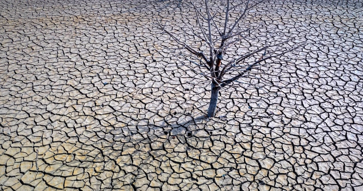 Earth just had its hottest year ever recorded — by far