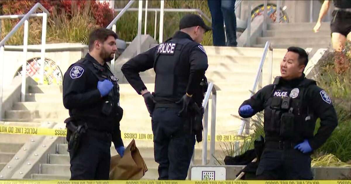 10 stabbed in Seattle over two days in random attacks that may be connected