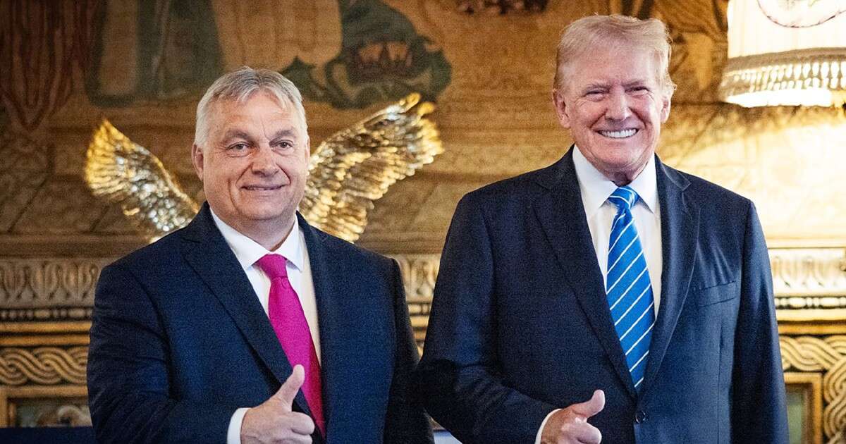 Why Europe's far-right is so happy Trump won