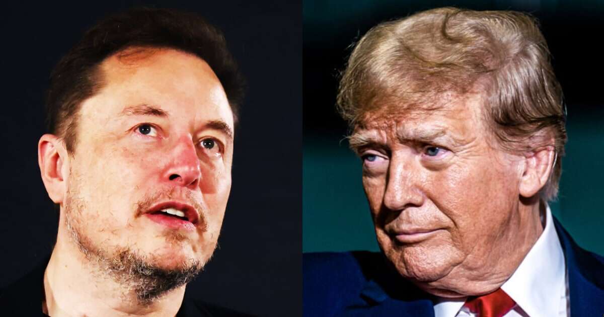 Donald Trump says he ‘helped’ Elon Musk as president and confirms recent meeting