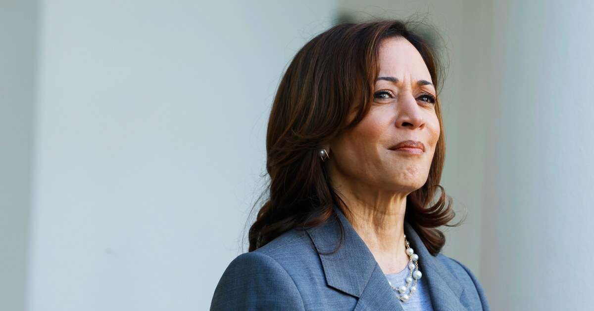 'KHive' and 'coconut-pilled': Kamala Harris sees a sudden social media renaissance