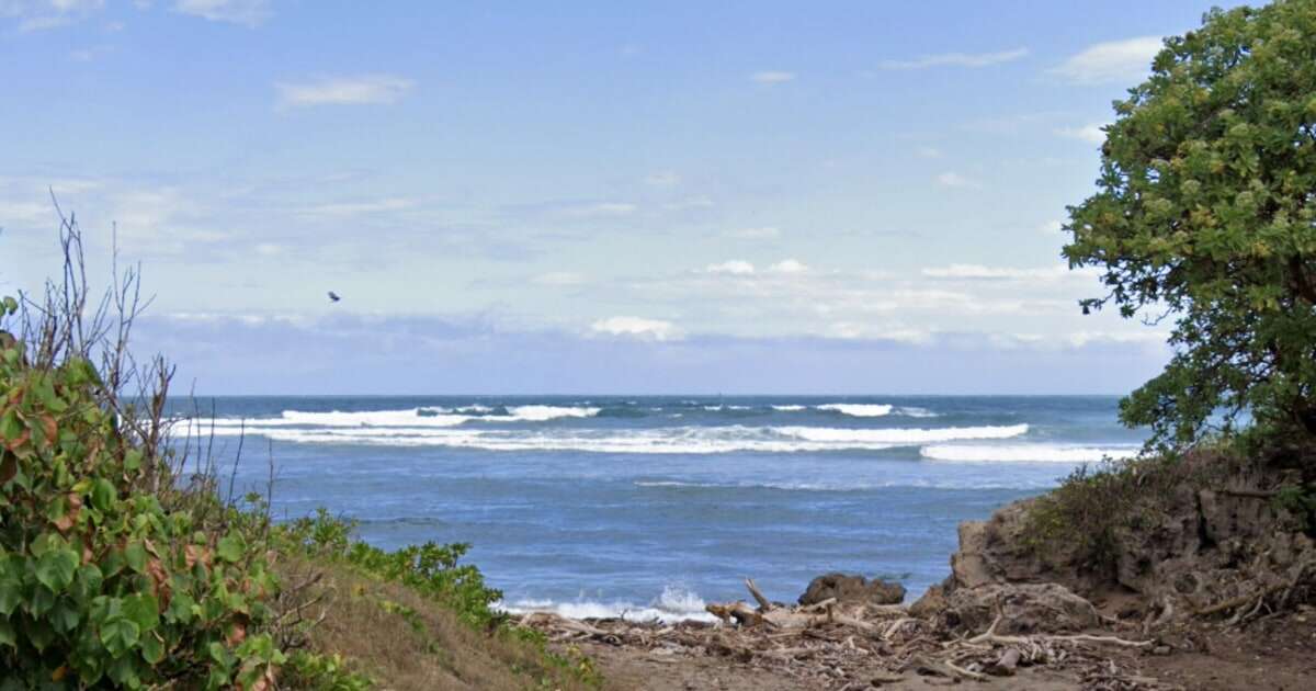 Surfer loses part of leg in Maui shark attack