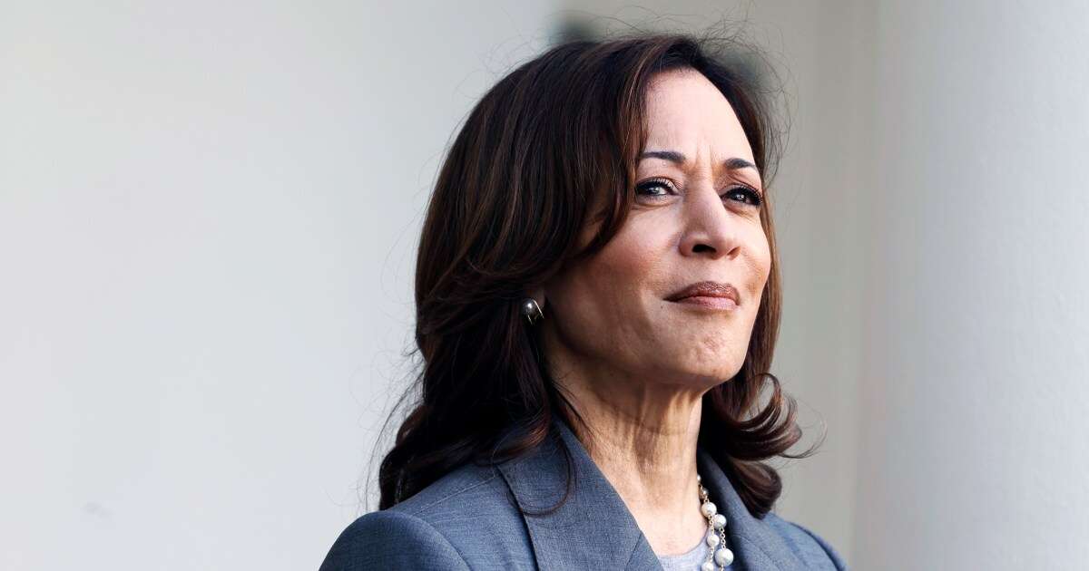 Kamala Harris' potential next move: A book